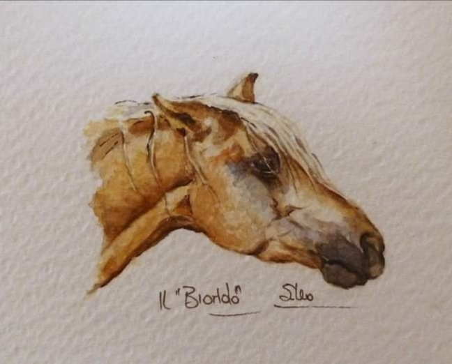 il biondo ritratto cavallo silvia leoncini